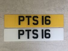 PTS 16 Porsche Taycan S Cherished Private Registration Number Plate Peter Pete picture